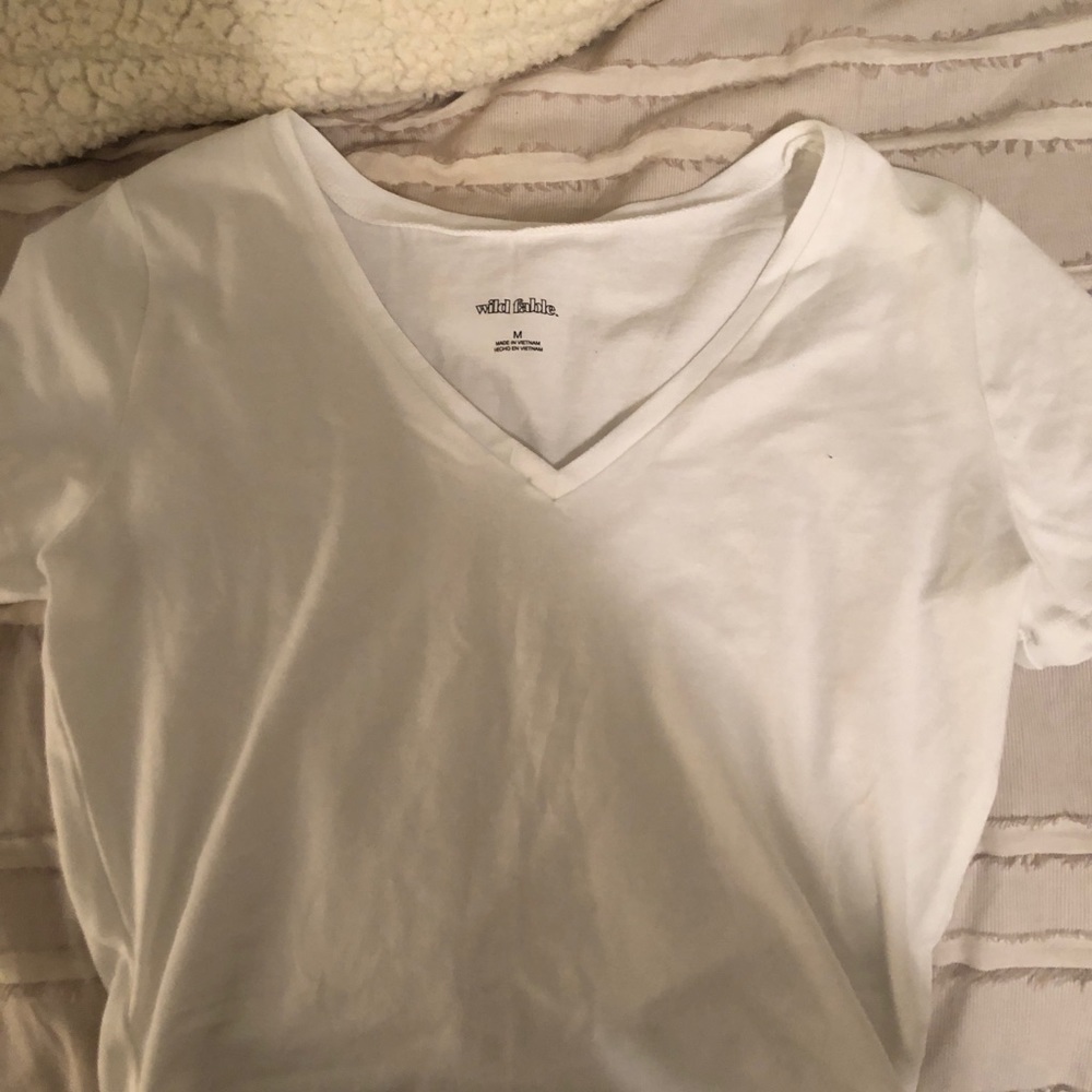 Wild Fable V neck crop top